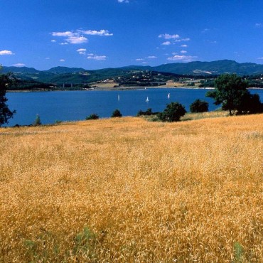 Il Lago di Bilancino